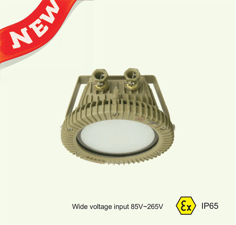 DGS-127L(E) Ming Explosion Proof LED Tunnel Lamp